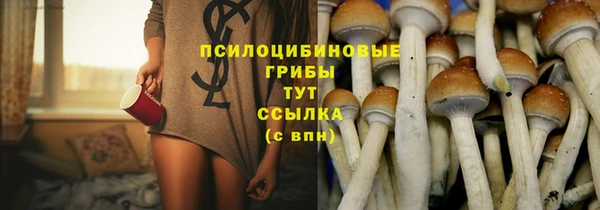 прущие крисы Бугульма