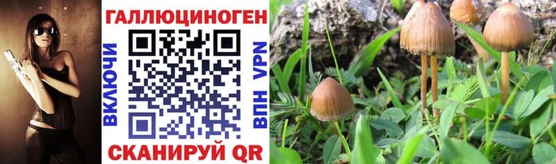наркота  Сосногорск  Галлюциногенные грибы мицелий 
